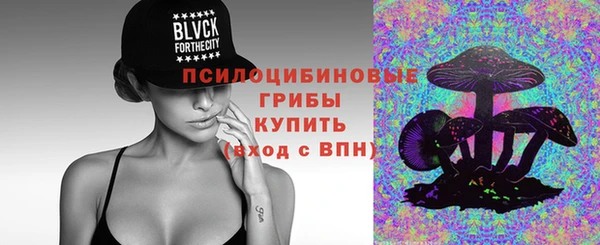 дмт Пестово