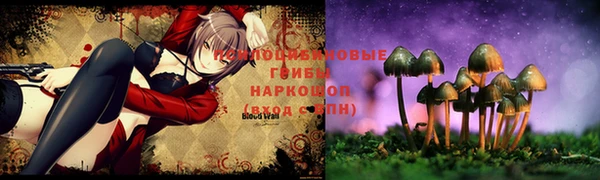 прущий лед Алексин